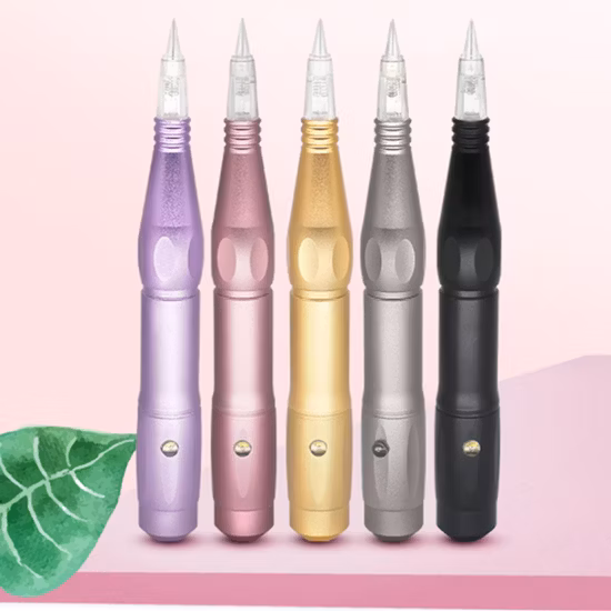 OEM 최고의 새로운 Pm K2 반 Pmu 문신 키트 영구 화장 기계